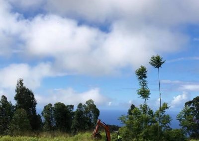 Land Clearing Paauilo Hawaii 2021
